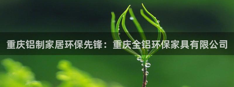 杏耀代理日工资多少