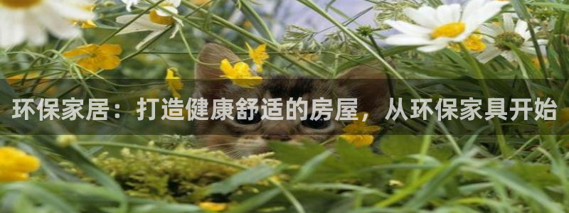 杏耀平台黑款