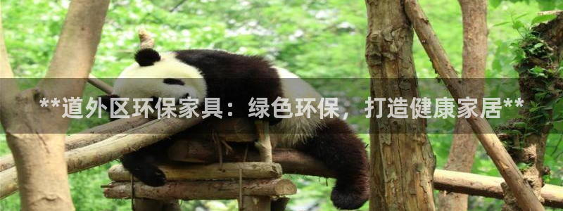 杏耀代理主管qq