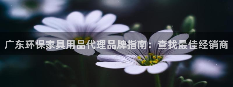 杏耀平台的专用通道