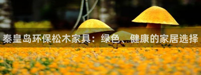 杏耀平台网站是什么