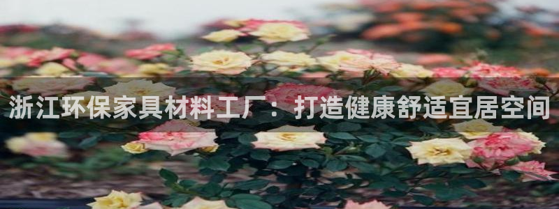 杏耀平台的专用通道