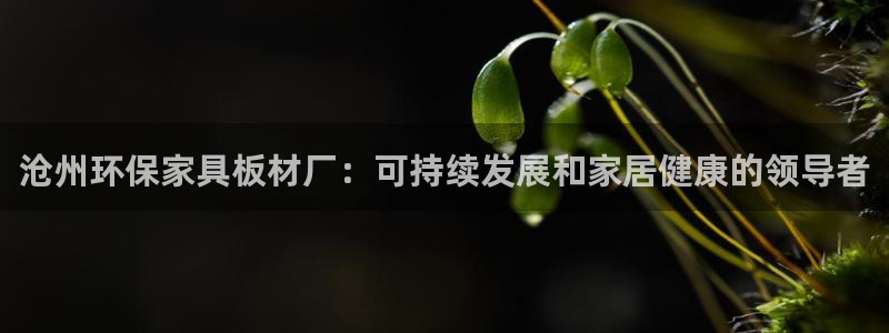 杏耀代理连接
