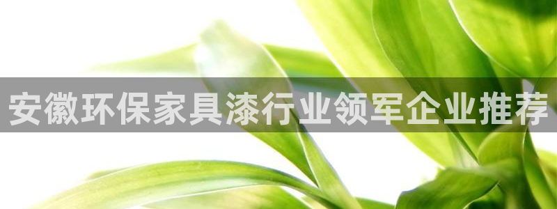 杏耀注册登陆：安徽环保家具漆行业领军企业推荐