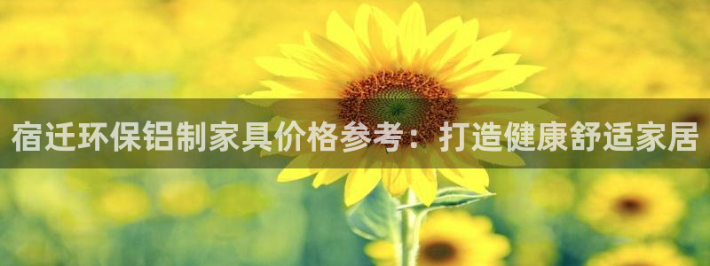 杏耀登入测速：宿迁环保铝制家具价格参考：打造健康舒适家居