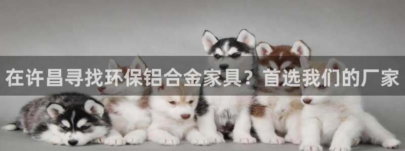 杏耀平台登陆测速：在许昌寻找环保铝合金家具？首选我们的厂家