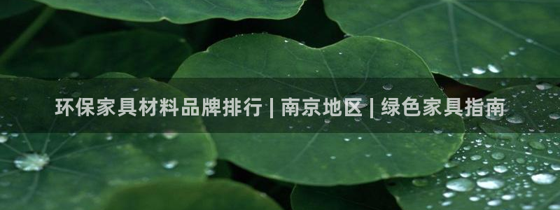 杏耀平台怎么样：环保家具材料品牌排行 | 南京地区 | 绿色