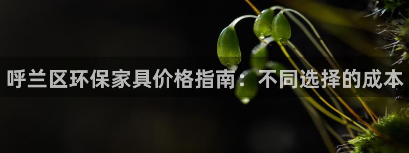 杏耀平台注册网址：呼兰区环保家具价格指南：不同选择的成本