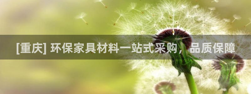 杏耀代理连接：[重庆] 环保家具材料一站式采购，品质保障