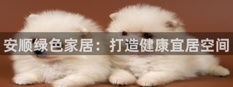 杏耀官网注册：安顺绿色家居：打造健康宜居空间