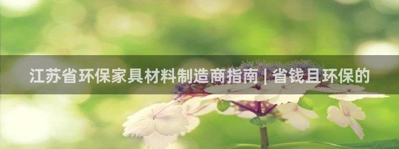 杏耀平台代理怎么赚钱：江苏省环保家具材料制造商指南 | 省钱