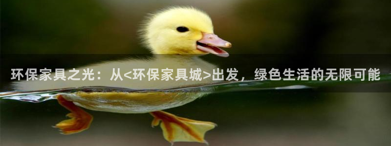 杏耀总代