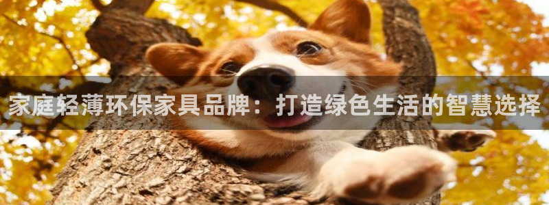 杏耀平台开户：家庭轻薄环保家具品牌：打造绿色生活的智慧选择