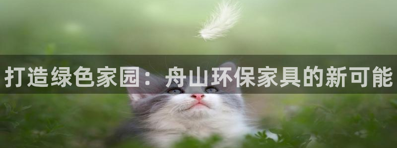 杏耀平台首页登录：打造绿色家园：舟山环保家具的新可能