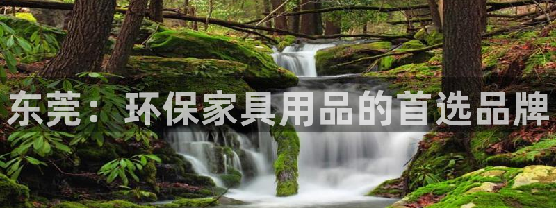 杏耀是什么平台：东莞：环保家具用品的首选品牌