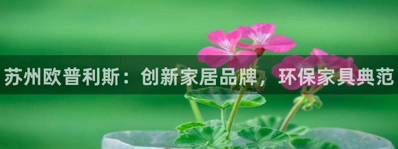 杏耀测速注册：苏州欧普利斯：创新家居品牌，环保家具典范