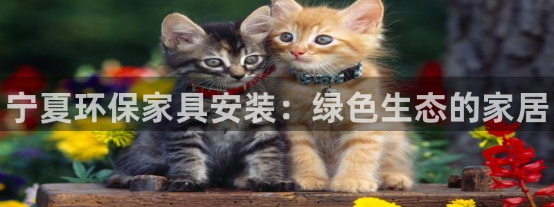 杏耀测速登录地址：宁夏环保家具安装：绿色生态的家居