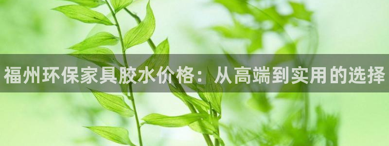 杏耀平台官方网站下载：福州环保家具胶水价格：从高端到实用的选